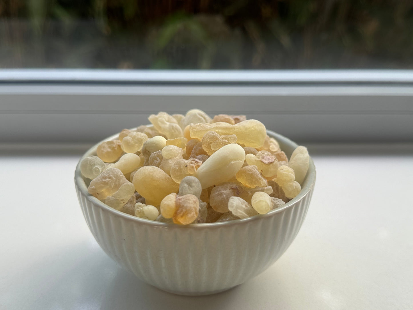 Royal Green Frankincense (Boswelia Sacra) from Oman